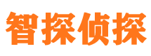 梁山市婚外情调查